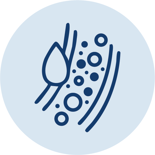 Trigliceridi